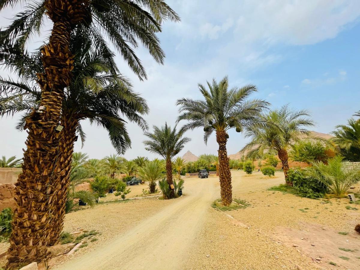 Paradis Touareg Zagora Exteriér fotografie