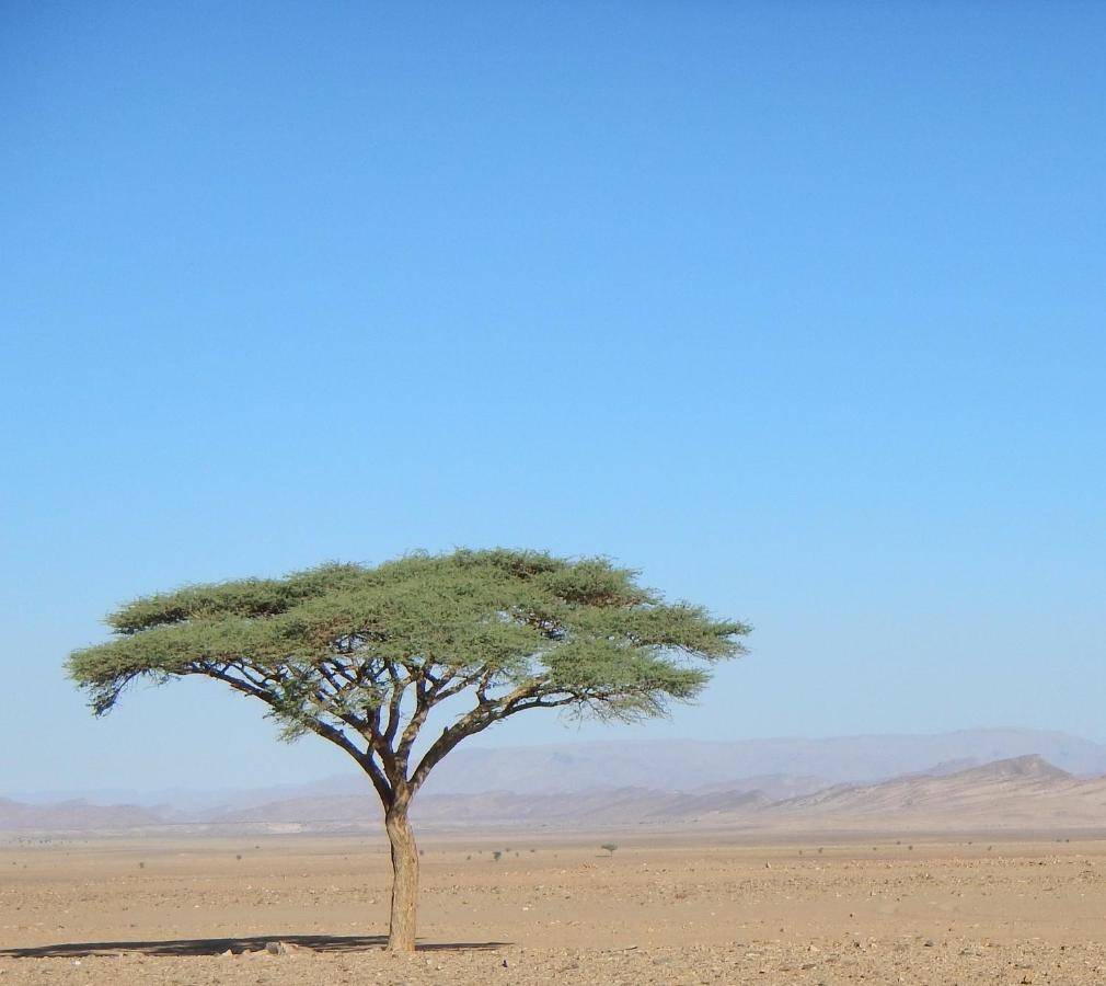 Paradis Touareg Zagora Exteriér fotografie